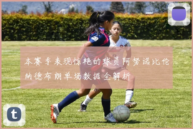 本赛季表现惊艳的球员阿努诺比伦纳德布朗单场数据全解析