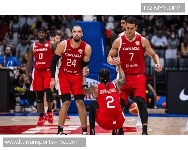 阿里纳斯谈联盟面孔詹库直言华子接班因私生子问题受阻